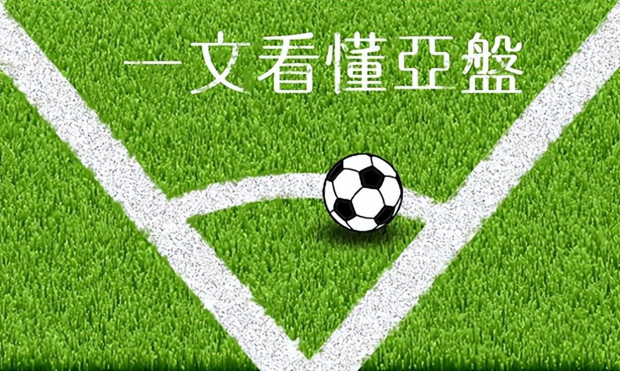 伟德平台官网：✅🏒探秘伟德平台官网：开启您的在线博彩新体验🌪？、最新发布作答落实解释